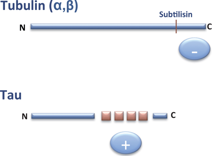 Fig.2