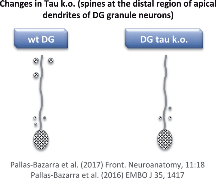 Fig.6