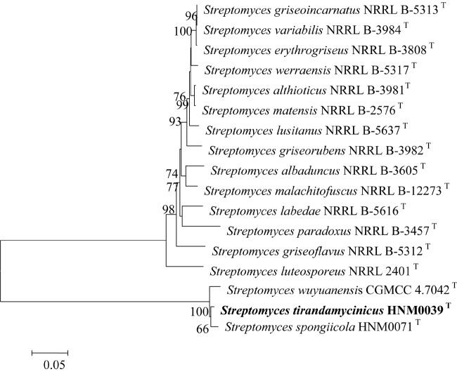 FIGURE 2