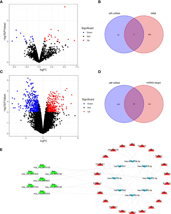 Figure 4