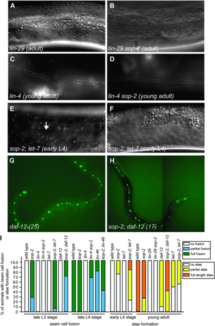 Figure 2.—