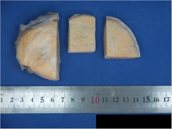 Figure 5