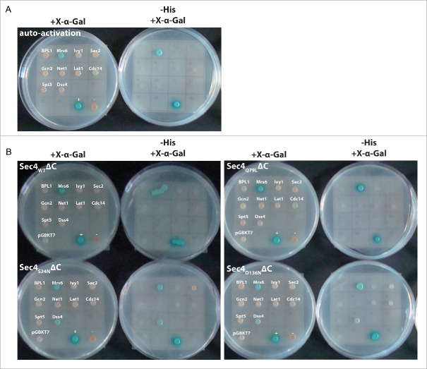 Figure 4.