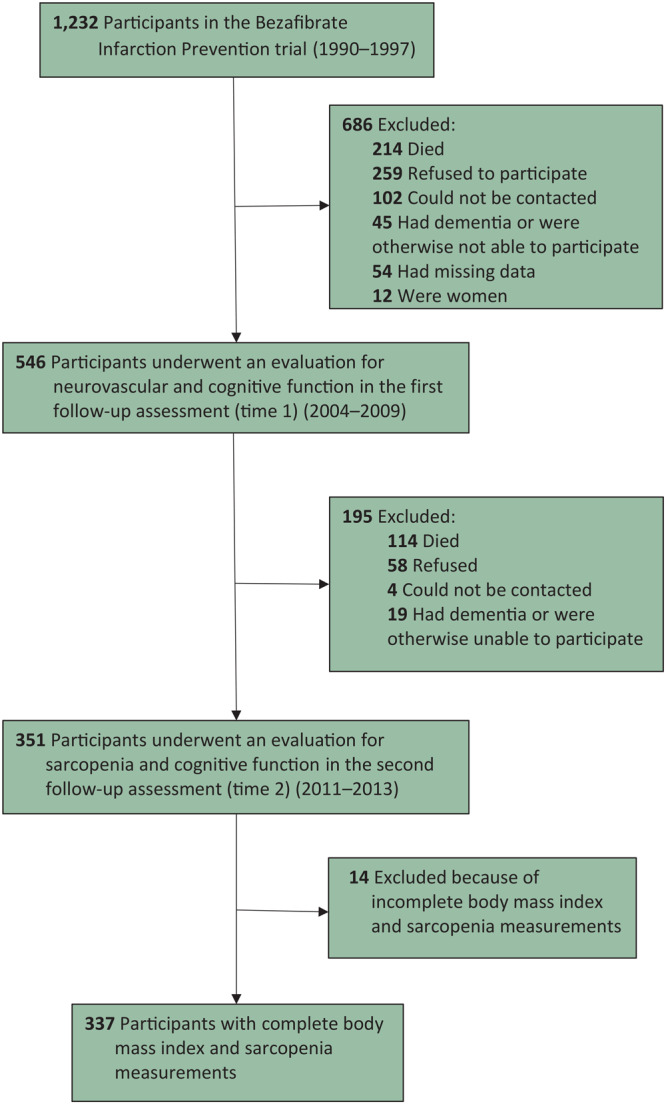 There were 1,232 participants in the Bezafibrate Infarction Prevention trial (1990–1997). From this study, 686 participants were excluded: 214 died, 259 refused, 102 could not be contacted, 45 had dementia, 54 had missing data, and 12 were women. Five hundred forty-six participants took part in the first follow-up assessment (time 1) (2004–2009). From this study, 195 participants were excluded: 114 died, 58 refused, 4 could not be contacted, and 19 had dementia or were otherwise unable to participate. Three hundred fifty-one participants took part in the second follow-up assessment (time 2) (2011–2013). Fourteen participants were excluded because of incomplete body mass index and sarcopenia measurements, resulting in 337 participants with complete body mass index and sarcopenia measurements.