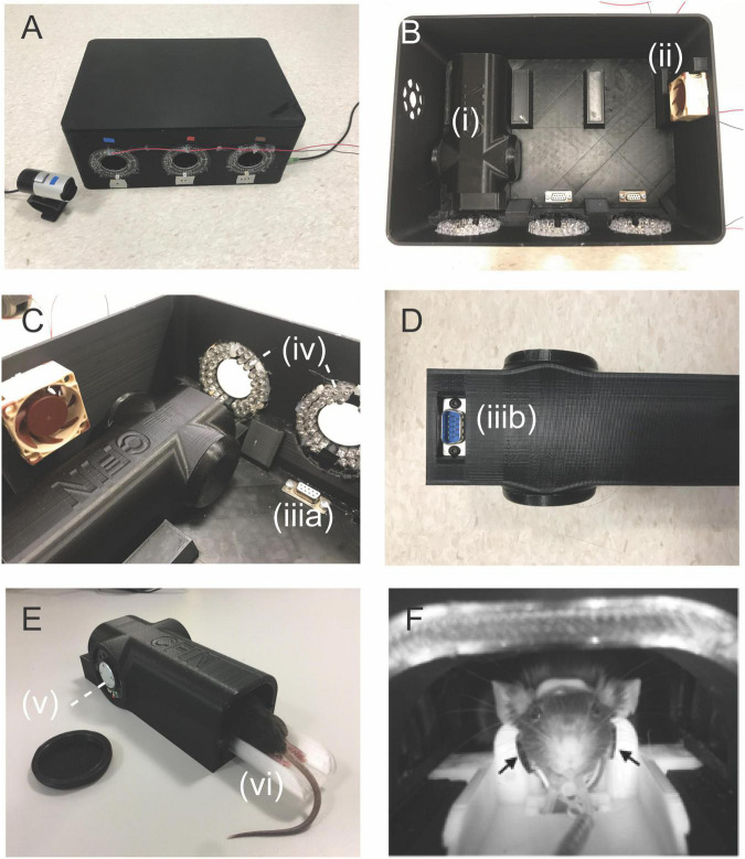 FIGURE 2