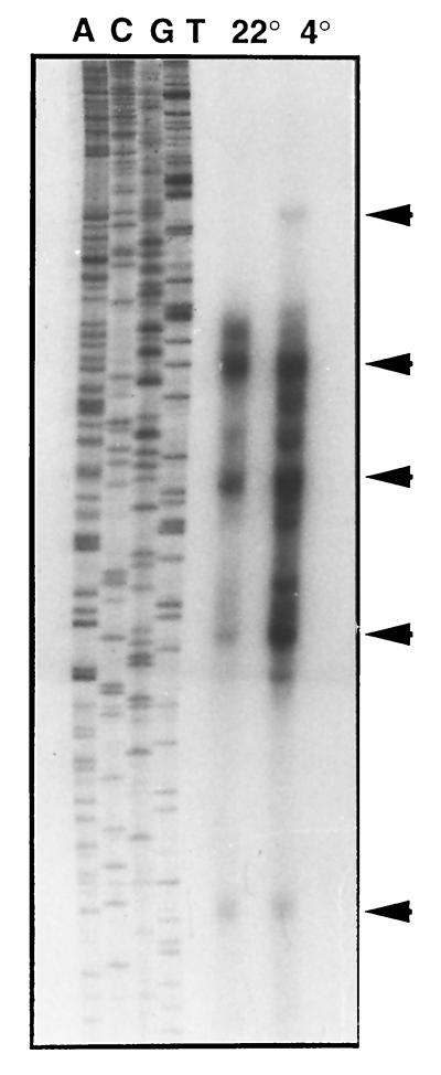 FIG. 5.