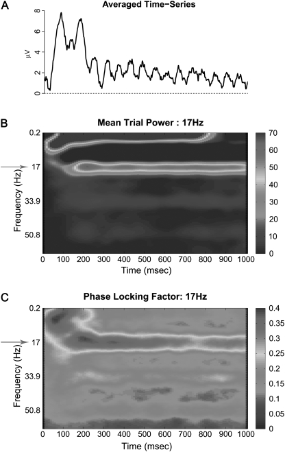 Fig. 3.