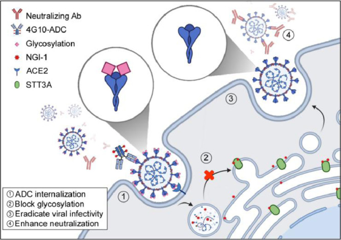 Image, graphical abstract