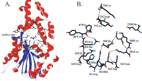 FIG. 1.