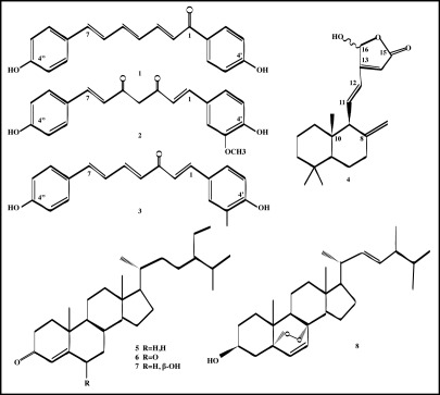 Figure 1: