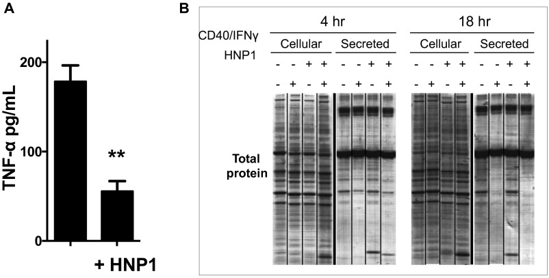 Fig. S1.