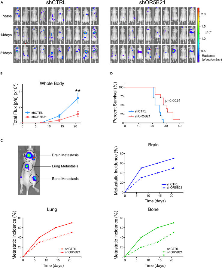 Figure 3