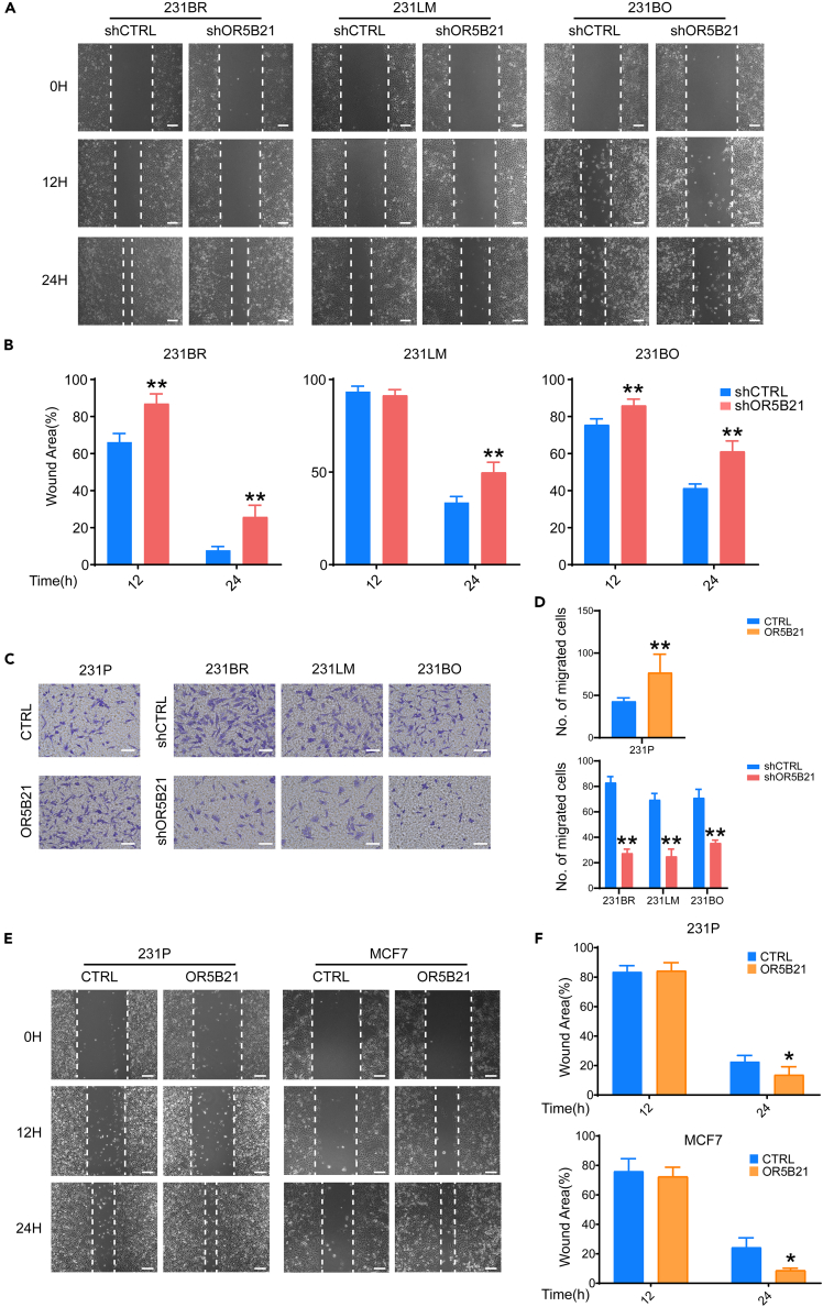 Figure 2