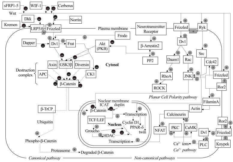 Fig. (1)