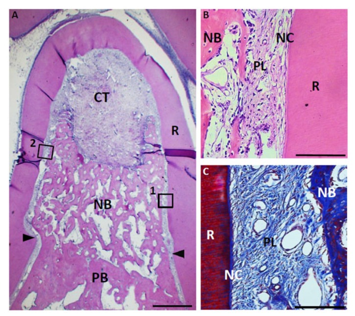 Fig. (9)