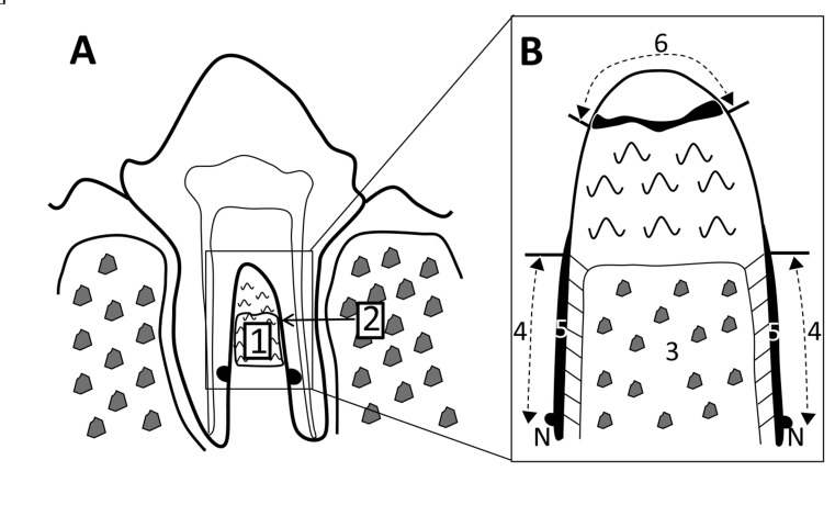 Fig. (3)