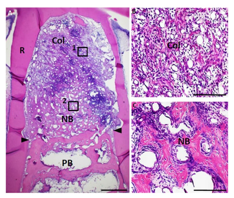 Fig. (7)