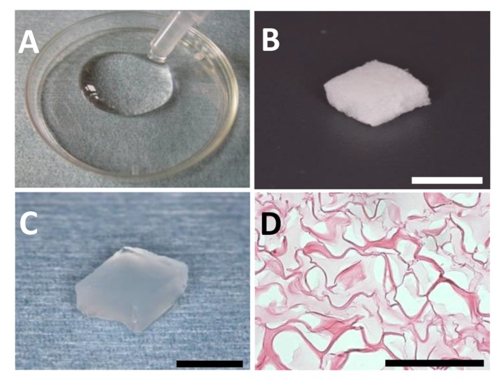 Fig. (1)