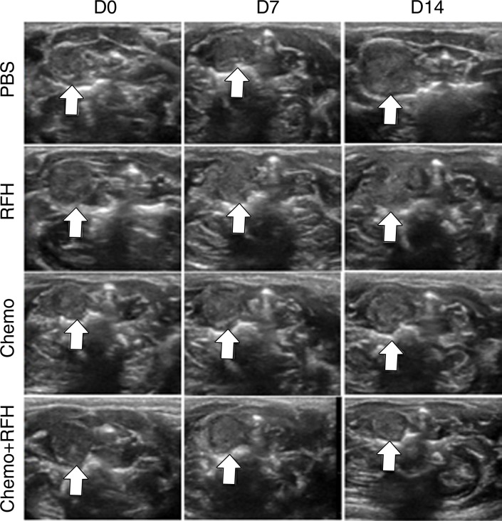 Figure 5b: