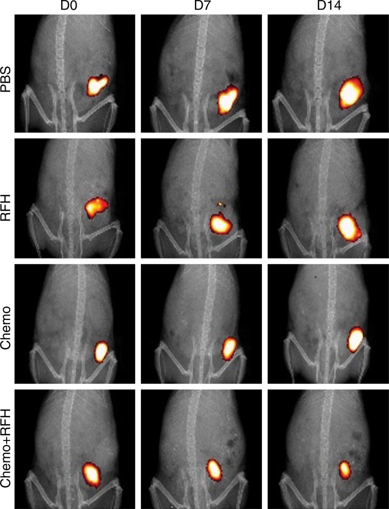 Figure 2b: