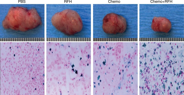 Figure 3: