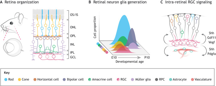 Fig. 1.