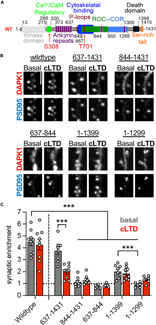 Figure 5