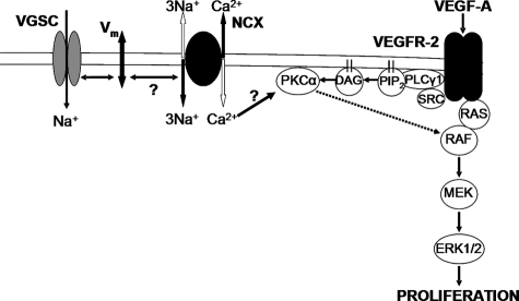 FIGURE 9.