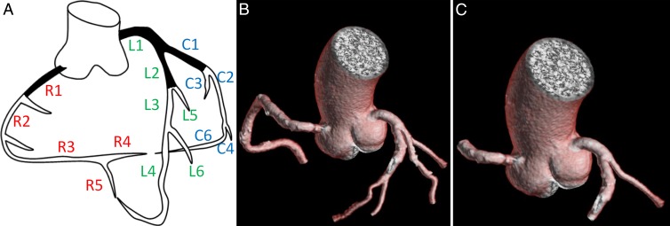 Figure 1: