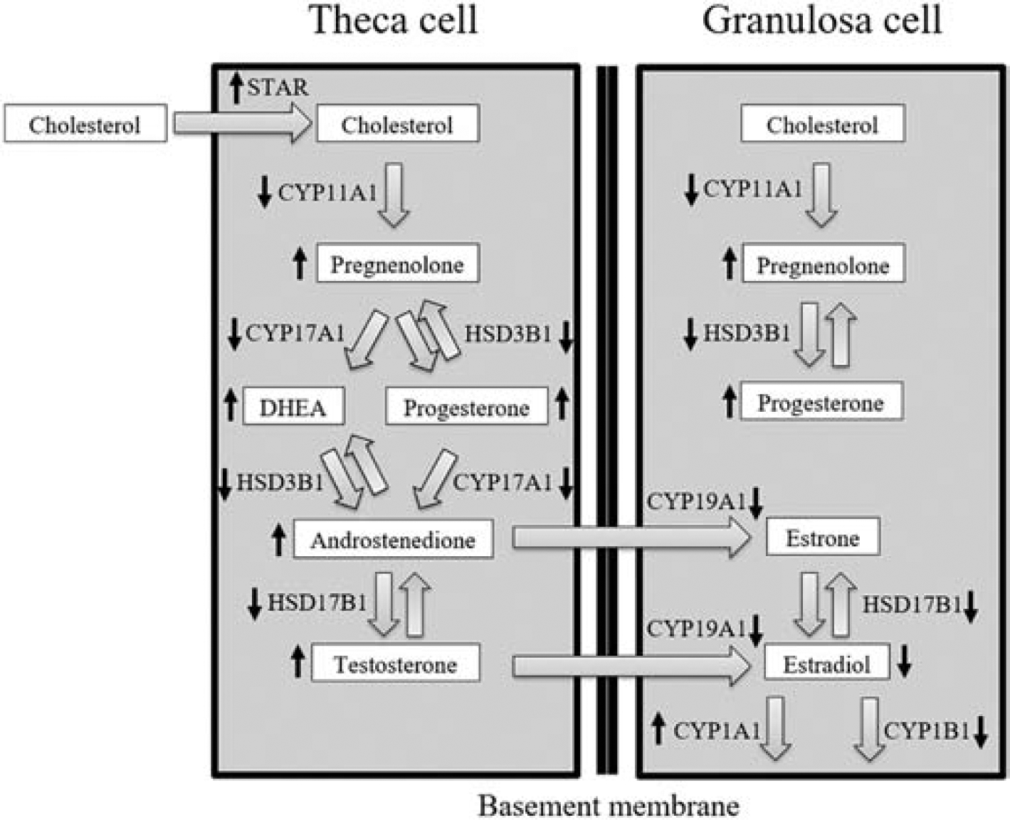 Figure 12.