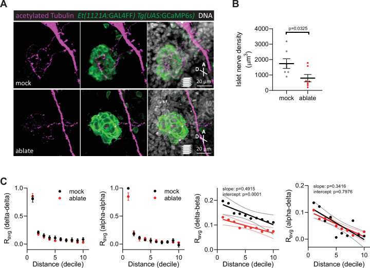 Figure 4—figure supplement 1.