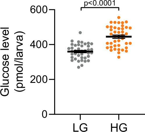 Figure 3—figure supplement 1.