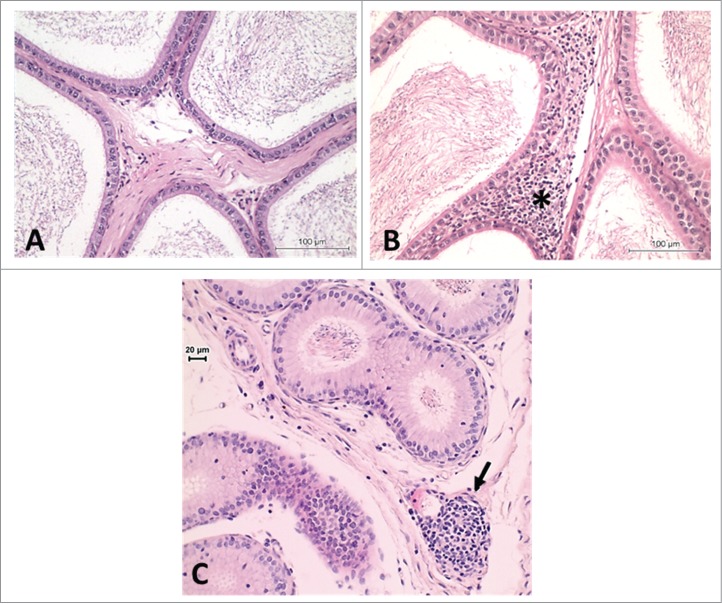 Figure 9.