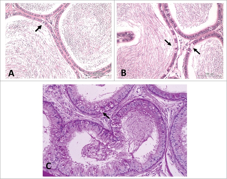 Figure 12.