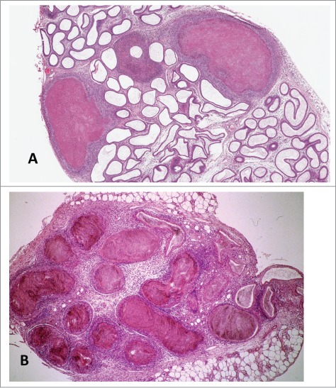 Figure 10.