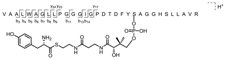 Scheme 4