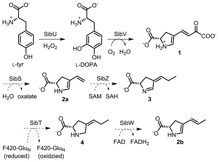 Scheme 3