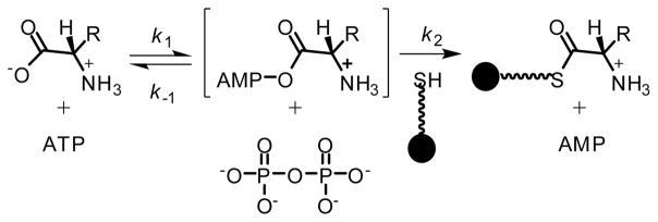 Scheme 2