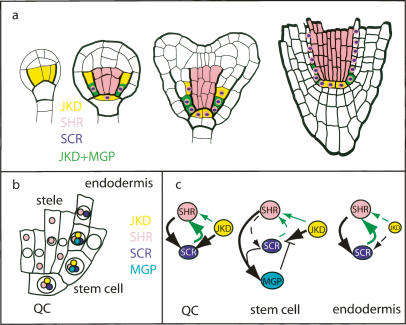 Figure 7.