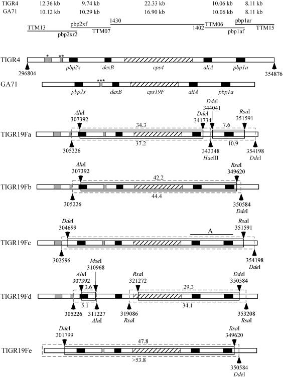 FIG. 1.