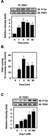 FIG.1.