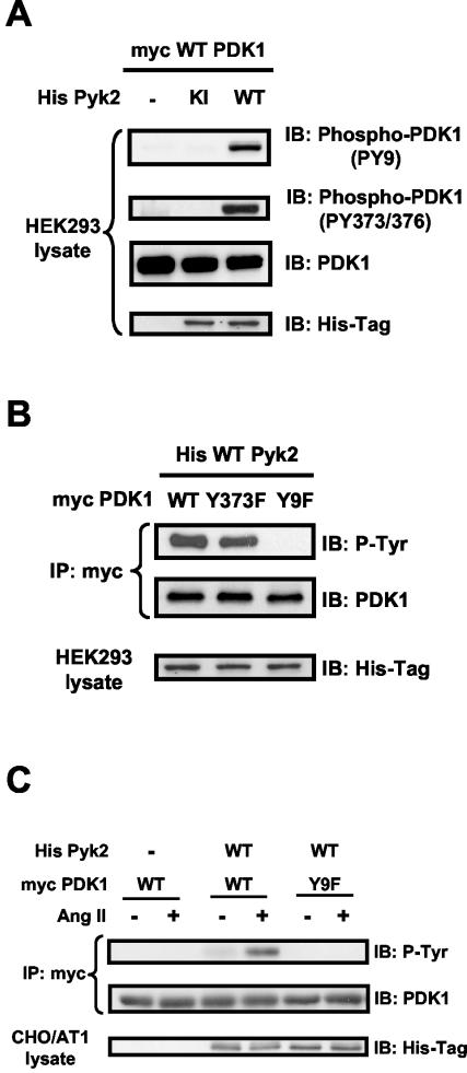 FIG.4.