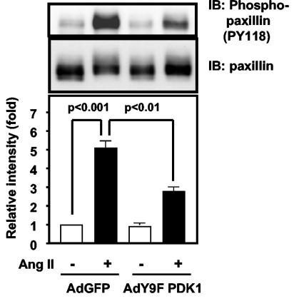 FIG. 8.