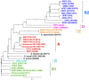 Fig 6