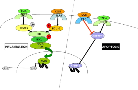 FIGURE 10.