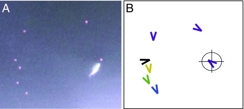 Fig. 1.