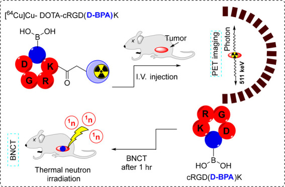 graphic file with name ml4c00007_0004.jpg