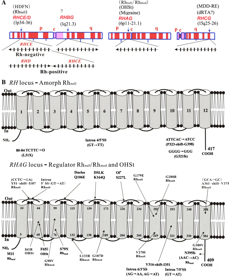 Fig. 6