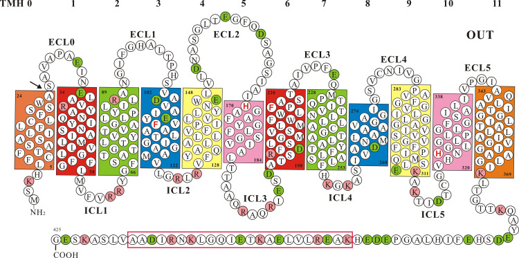 Fig. 4