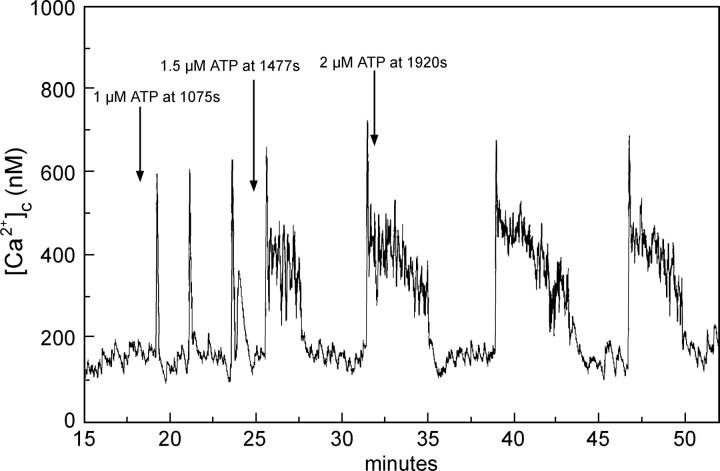 FIGURE 2